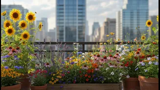 Make Every Balcony Bloom For Pollinators