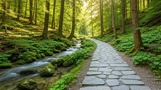 Unlocking Inner Peace: A Guide from the Bhagavad Gita