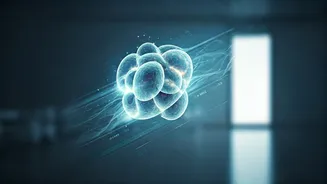 Revolutionizing Healthcare: AI & Continuous Care for Early Risk Detection in India
