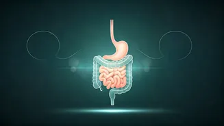 Related Stories banner