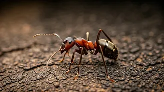 7 Incredible Creatures That Beat Fire