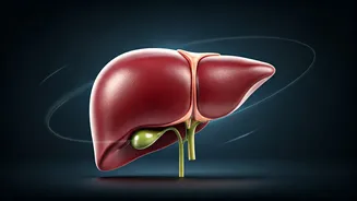 Related Stories banner