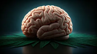 Sleep's Crucial Role: Impacting Health & Longevity