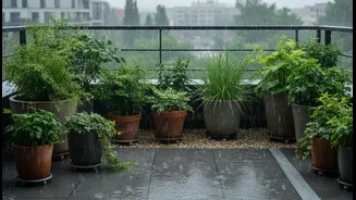 Practical Balcony Drainage Ideas That Help Plants Survive India's Monsoon