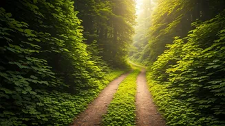 Nature-Loving Delhiites Have New Routes To Explore