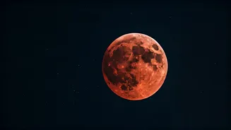 Related Stories banner