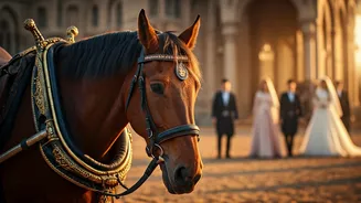 Horses in Indian Weddings: A Plea for Compassion Amidst Festive Traditions