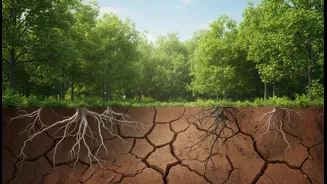More Plant Growth With Serious Ecological Risks: The Real Tension Inside India's Future Vegetation Growth Forecasts