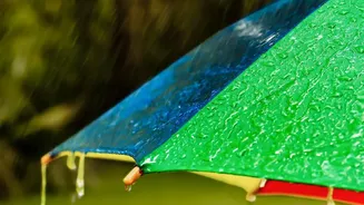IMD Forecast Highlights Rain Risks For Weekend Travellers In Western India