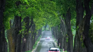 Bangalore To Agumbe Monsoon Drive: Top Safety Tips And Beautiful Rainforest Photo Locations