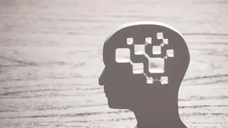 Two Brain Origins Is Back In Focus Because Stanford Research Finds Forebrain And Hindbrain Develop From Separate Progenitor Cells With Distinct Ori...