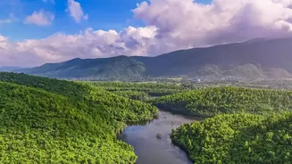 Why November Offers Excellent Forest Visibility Following The End Of Seasonal Monsoon Rains