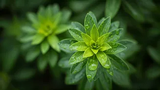 Ayurveda Can Naturally Reduce Kids' Stress