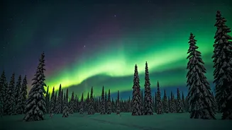 Chasing the Aurora: Where to Spot the Northern Lights
