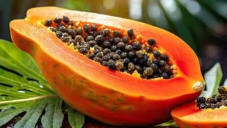 Secret to gorgeous hair? Its papaya seed oil