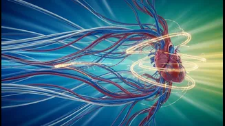 Movement Supports Circulation, Strength And Independence Together