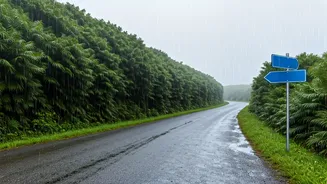 Delhi Road Trips Need Backup Routes Now