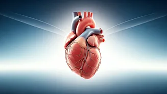 Protect Your Heart: Simple Flight Tips for Healthy Travelers