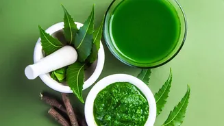 Why Chemical-Free Neem Oil And Soapy Water Protect Delicate Balcony Plants From Pests Today