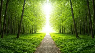 Walking: The Easiest Longevity Cheat Code?