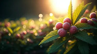 Unlock Longevity: 111-Year-Old's Secrets to a Long and Healthy Life Revealed!