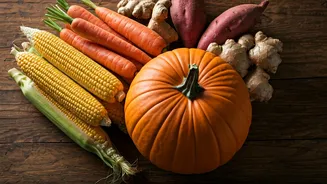 Monsoon Eating Loves Corn, Pumpkin And Roots