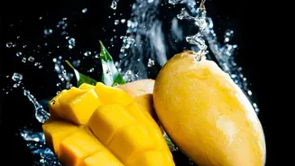 Air Freight Gives Late-Season Indian Mangoes a Longer Export Opportunity