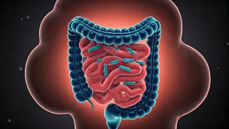 Healthy Gut, Strong Child: Boosting Immunity