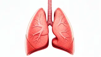 Strengthen Your Lungs This Winter With Exercise
