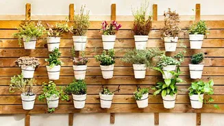 DIY: Create one-of-a-kind planters in minutes