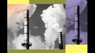 Alta de CO2 na atmosfera afeta o sangue humano