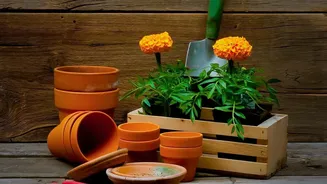 The August Pruning Window Puts Plant Type in Focus