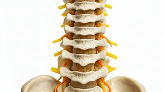 Neck Pain: When to See a Doctor (Not Your Friend)