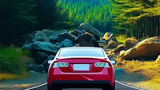 How To Drive Through Agumbe Rainforest Ghats Safely On Bangalore Road Trips