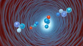 Unlock Better Health: The 10-Minute Post-Meal Walk for Insulin Sensitivity