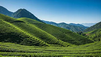 South Indian Hill Stations: Your Perfect Getaway