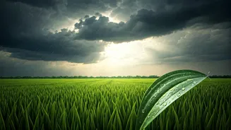 Cloudy Monsoon Skies Don't Mean Skip Sunscreen