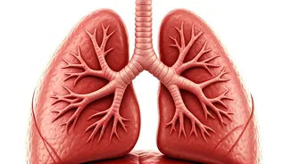 Boost Your Breathing: Try These Lung Exercises