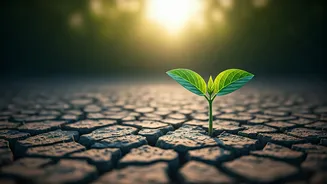 B.F. Skinner's Wisdom: Redefining Failure and the Power of Perseverance
