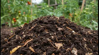 Wet Compost Can Recover without Being Thrown Away