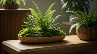 Indoor Forest Bathing: Bringing Nature's Calm Indoors for Wellness
