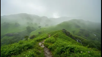 India's Hill Towns Invite Travellers To Slow Down This Rainy Season