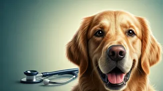 World Health Day 2026: Elevating Pet Well-being Through Regular Health Screenings