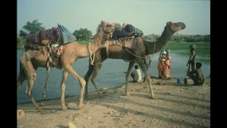 India's Heatwave Disaster Tag Highlights Global Adaptation Finance Gap
