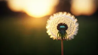 Unlock Your Child's Potential: The Transformative Power of Emotional Validation