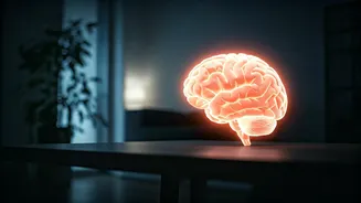 The Work-Life Energy Paradox: Why You Crash at Home After a Productive Day