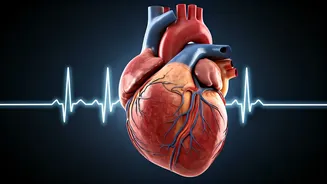 Steps to a Healthier Heart: Your Daily Count