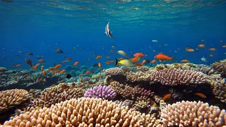 Unveiling Fish Feelings: A Dive into Their Emotional World