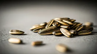 Unlock Radiant Skin: 5 Ways Sunflower Seeds Boost Your Complexion Naturally