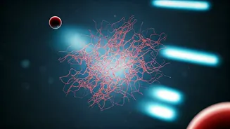 Early Dementia Detection: New Blood Test Predicts Risk 25 Years Prior in Women